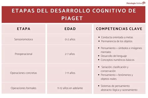 La TeorÍa Del Desarrollo Cognitivo De Piaget Las 4 Etapas