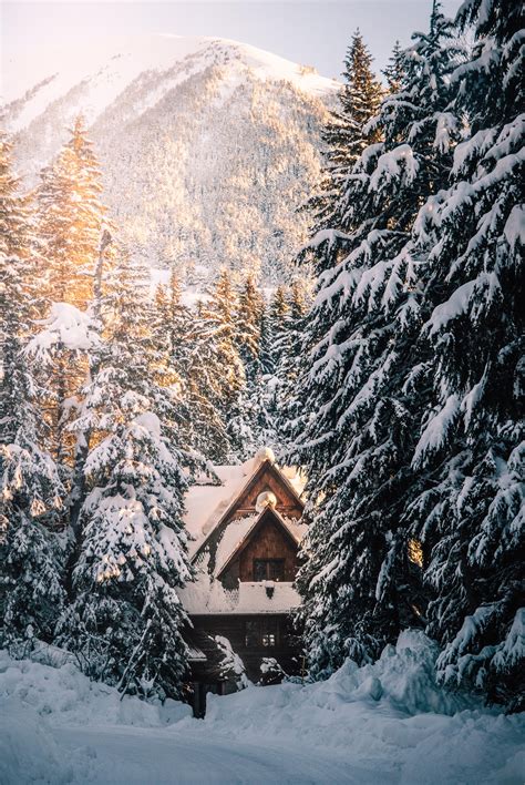 Winter Cabin In The Woods Snowy Cabin Cozy Log Cabin Cabins In The