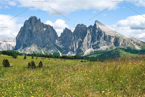 Dolomiti Mountain And Wildflower Fie Wild Flowers Natural Landmarks