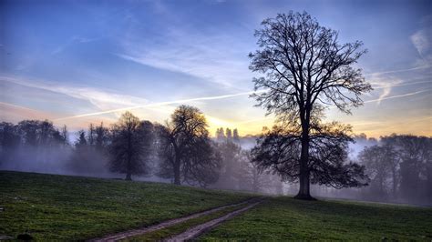 1920x1080 1920x1080 Road Field Tree Sunset Landscape