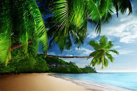 Coast Paradise Tropical Sea Sky Sunshine Wallpaper Download To Your