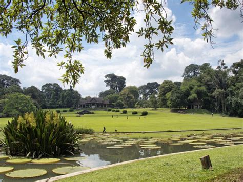 Bogor Botanical Garden Tour From Jakarta All Inclusive Wandernesia