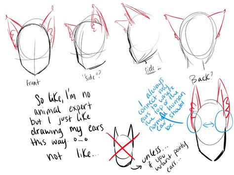 How To Draw Animal Ears On A Nekomimigijinka Whatever The Hell You