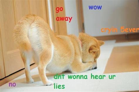 Collection by mimi meme me. Pin on Much doge very pins