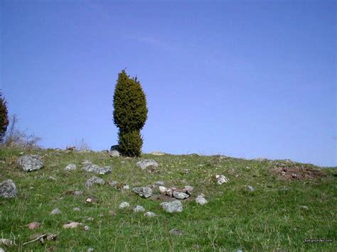 Landskap - Landscape