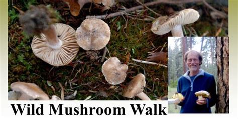 Cornell Cooperative Extension Wild Mushroom Walk