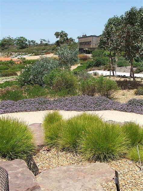 1000 Images About Xeriscape And Rock Gardens On Pinterest Gardens