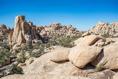 6 Phenomenal Backpacking Trails In Joshua Tree National Park