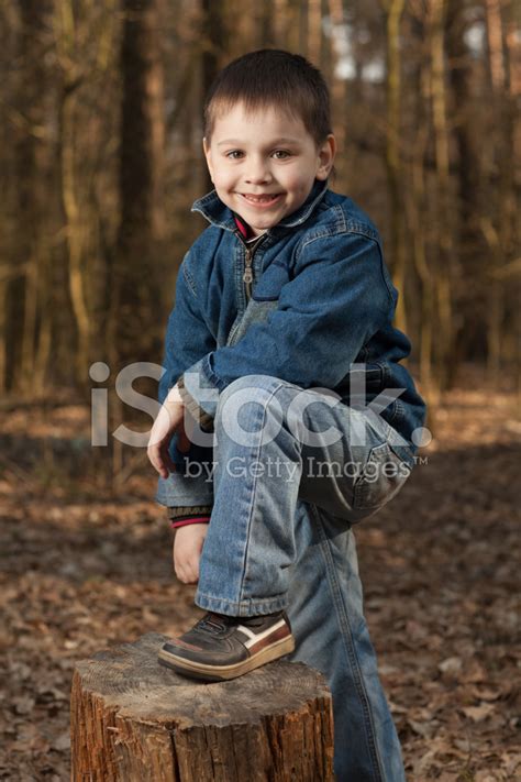 Little Boy Posing Stock Photo Royalty Free Freeimages