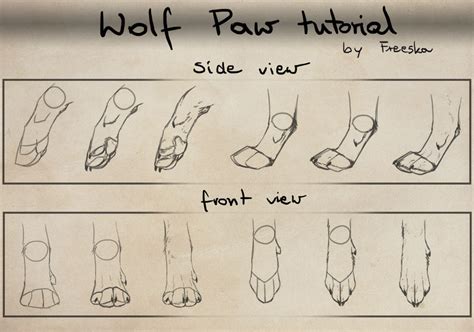 Wolf Paw Tutorial By Rizuuki On Deviantart