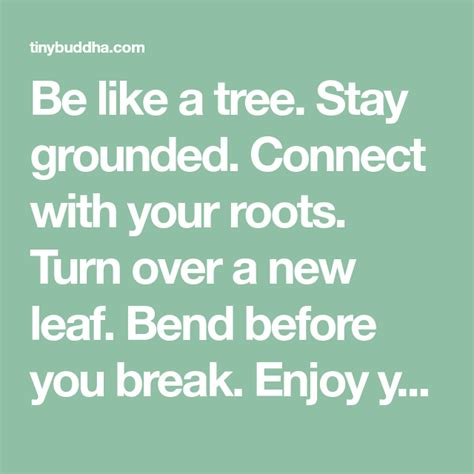 Be Like A Tree Stay Grounded Connect With Your Roots Turn Over A New