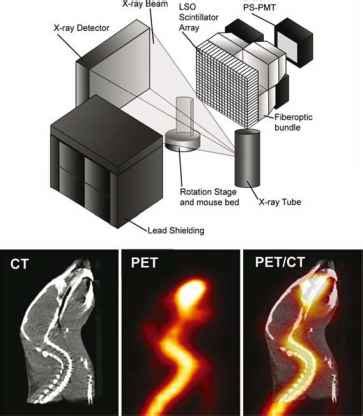 Laboratory (lngs), low detector background levels are compulsory. Small Animal Imaging Systems - Nuclear Medicine