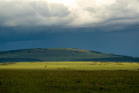 Dsc07898 Savanna Grasslands Kenya سهول السافانا Hamad M Flickr