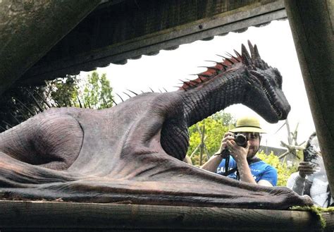 Dragon Captured At Belfast Zoo Belfast Live