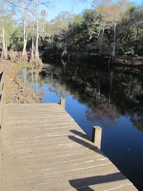 Maybe you would like to learn more about one of these? Blue Roads to Hiking Trails: Withlacoochee River Park Hike