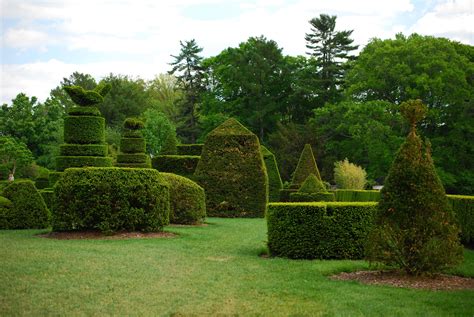 The Best Public Topiary Gardens Topiary Garden Longwo