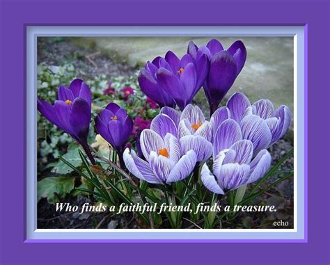 Space for the sunflower, bright with. Flower Quotes About Friendship. QuotesGram