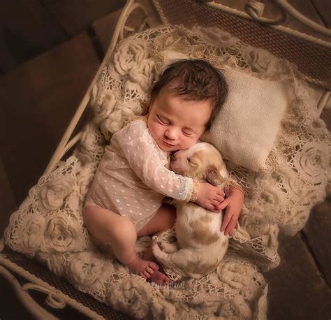 Bebés Recién Nacidos Abrazando A Adorables Animales En Fotografías