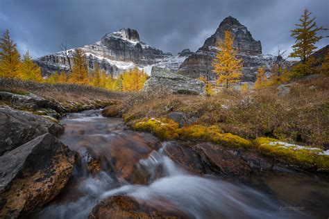 Larch Valley Banff National Park Photographed By Gavin Hardcastle