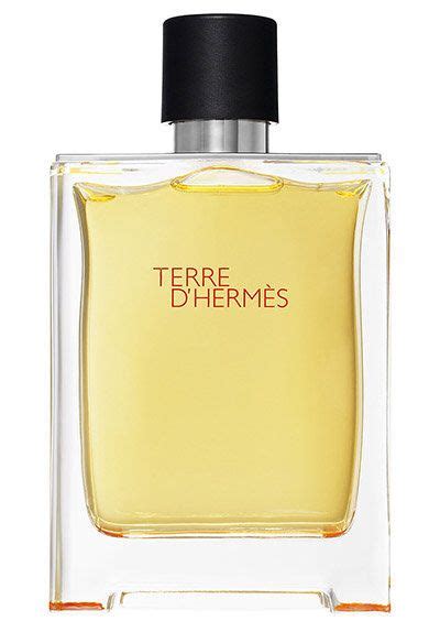 The Signature Scent For Every Man Feeling Sexy