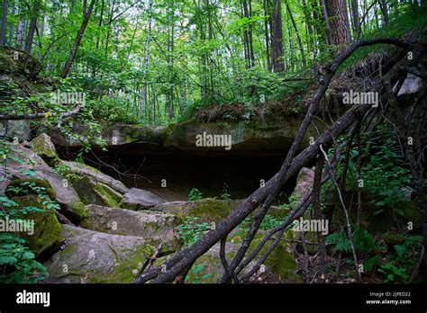 A Small Grotto A Gorge In The Forest With Different Trees Natural