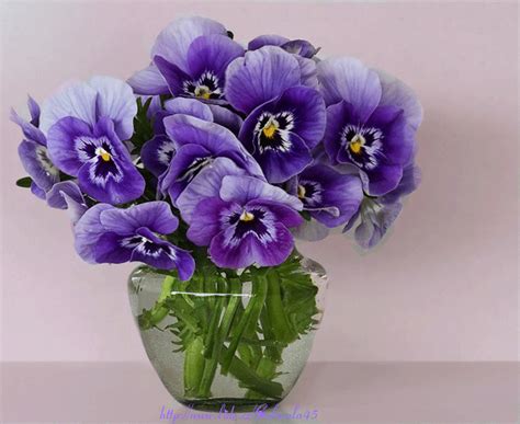Charming and easy on the eyes, with beautiful pastel tones, this bouquet brings a room to life with it's artful appearance. Piv45n0skga Gif 800 654 Facebook Pinterest Bouquet Flowers ...