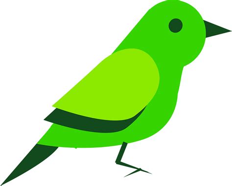 Birds Animal Clipart Free Download Transparent Png Creazilla