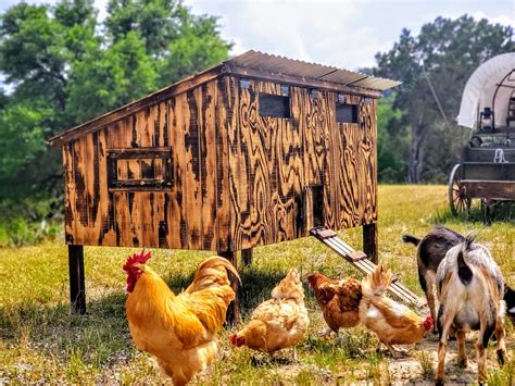 Making a small coop | BackYard Chickens - Learn How to Raise Chickens