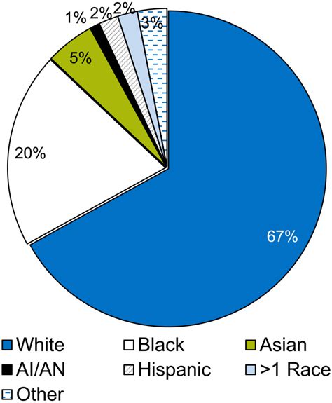 Racial Makeup Of Us Pie Chart My Bios