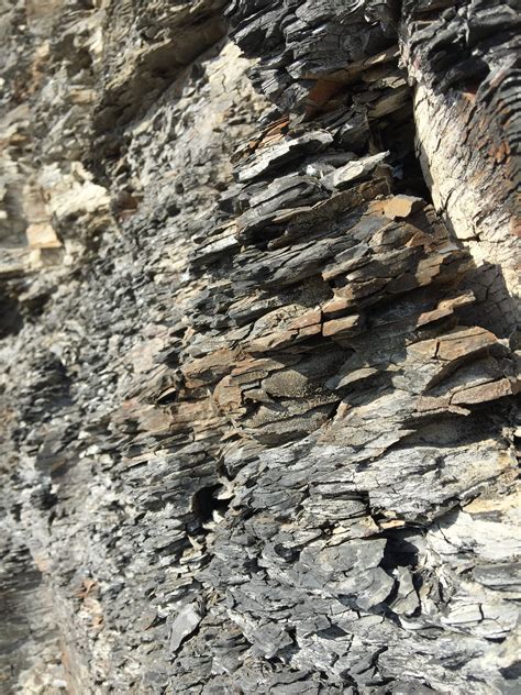 Free Images Rock Wood Texture Trunk Formation Soil Stone Wall