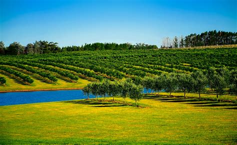 Free Images Landscape Tree Water Nature Grass Farm Lawn Meadow