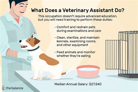 The veterinary assistant will educate clients on pet health, ensure the safety and comfort of. Veterinary Assistant Job Description / Veterinary Assistant Job Jobwerld Com | facandra8