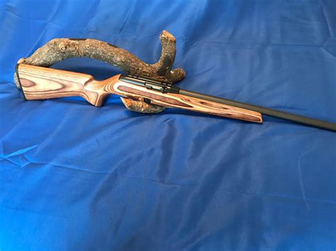 Remington Model 597 17 Hmr Semi Auto Rifle 17 Hmr 17121390