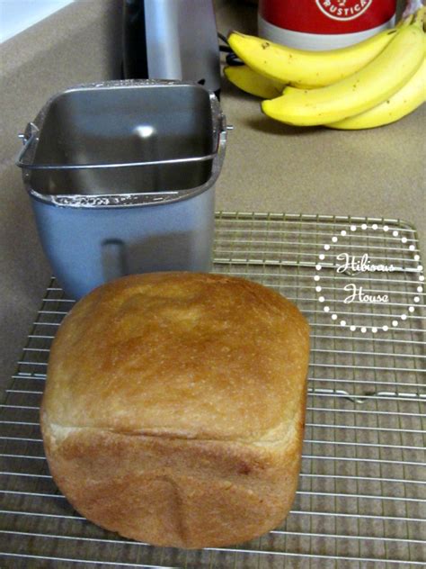 Check out my zojirushi bread maker recipes and watch for more to be posted here on this site. Hibiscus House: New Bread Machine: Zojirushi Mini Product ...