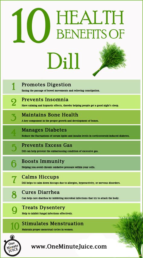 10 health benefits of dill one minute juice