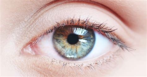 Is The Human Eye Really Evidence Against Intelligent Design