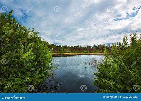 Taiga Lake Siberiarussia Stock Photo Image Of Morning 122705536
