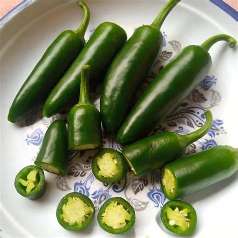 Wholesale Mexico Pepper Seeds Hot Jalapeno Pepper Seeds Vegetable Seeds