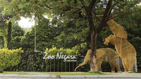 It was officially opened on 14 november 1963 by the country's first prime minister, tunku abdul rahman. Attention, December Babies! Zoo Negara Wants To Give You A ...