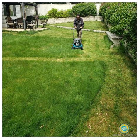What do you like most about the lawn care industry? Lawn Mowing Service | Reviews | Surrey Langley Gutter ...