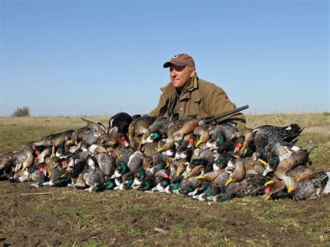 Lf Argentina Duck Hunting 8002 Ramsey Russells