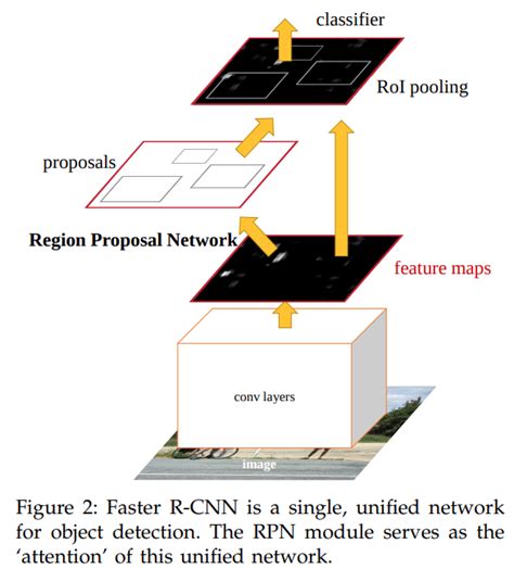 Object Detection Using Pytorch Faster Rcnn Resnet Fpn V