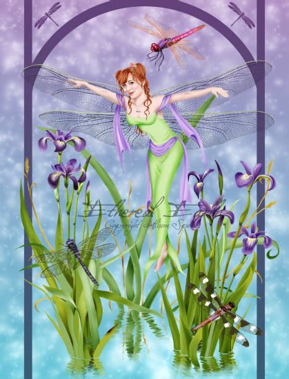 The Dancer Dragonfly Fairy From Alison Spokes Enchanted Insects