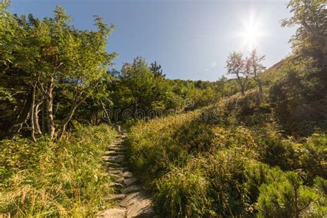 Hiking Trail In Mountains On Sunny Day Stock Image Image Of Shine