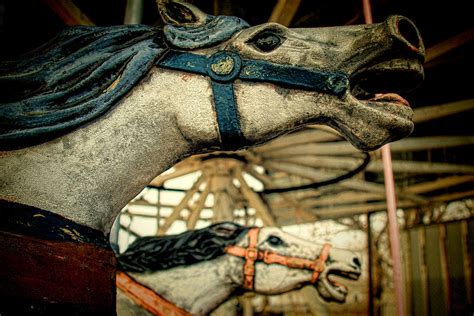 Vintage Carousel Horses 001 Photograph By Tony Grider