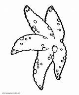 Coloring Animals Sea Starfish Printable sketch template