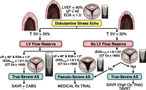 Aortic Valve Stenosis Grading