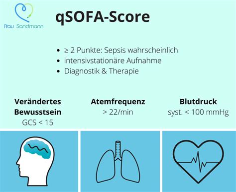 This live score app doesn't just tell you the score of the matches being played. Sepsis: SOFA-Score und qSOFA-Score - Vom Leben als Sandmann