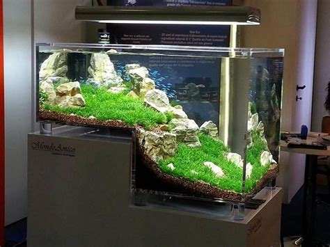 20 Amazing Indoor Aquarium Design Ideas For Inspiring Home Decorations