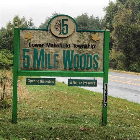 5 Mile Woods A Hidden Nature Walk Trail Morrisville Pennsylvania